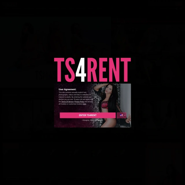 TS4Rent