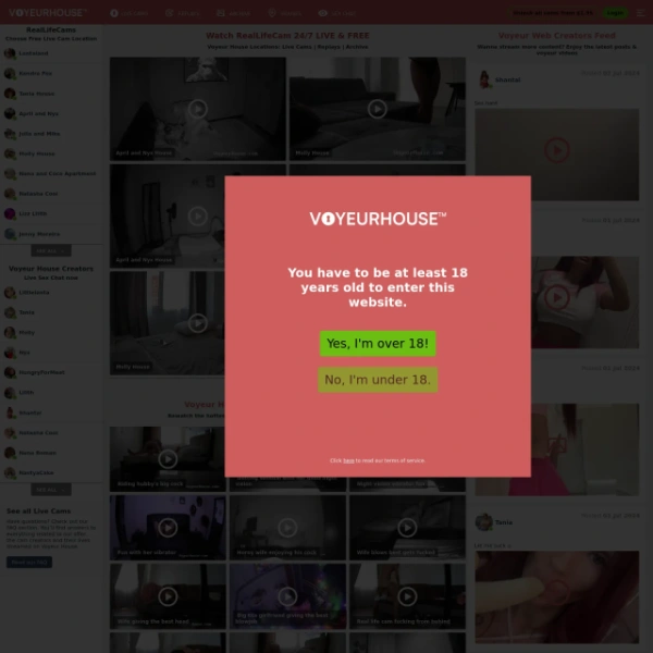 Voyeur House on myporndir.com