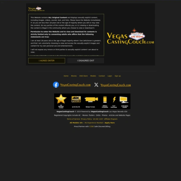 Vegas Casting Couch on myporndir.com